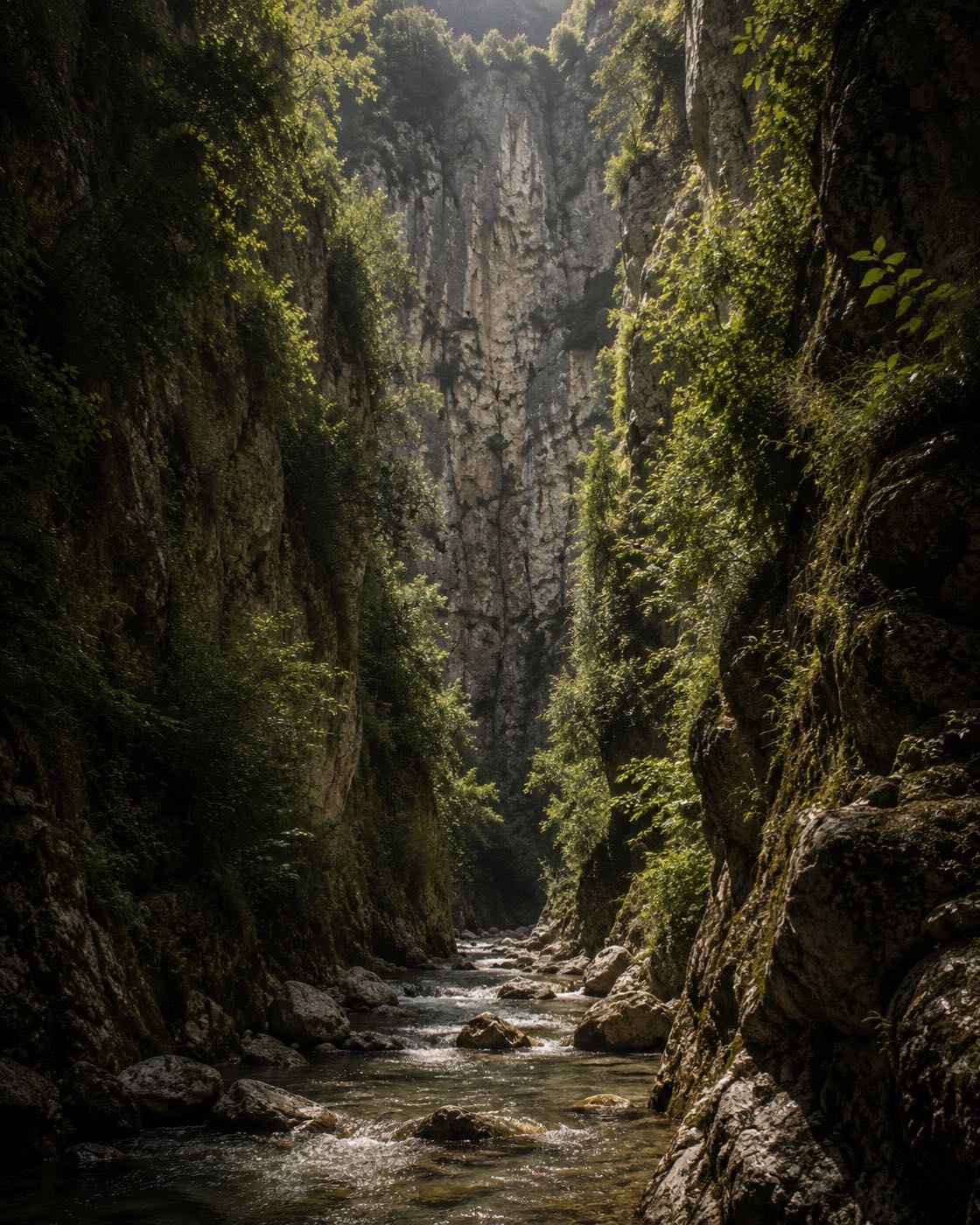 A deep limestone gorge in the hills, sheer walls hung with green, a stream threading the floor